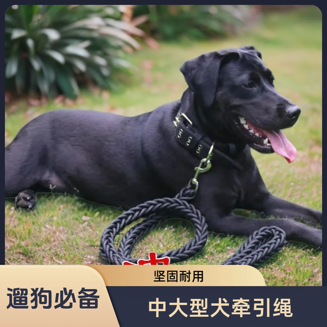 多趣狗项圈牵引绳金毛拉布拉多德牧狗链子项圈大中型犬遛狗圈绳子
