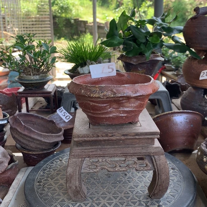 红陶20CM（含）-50CM（不含）675