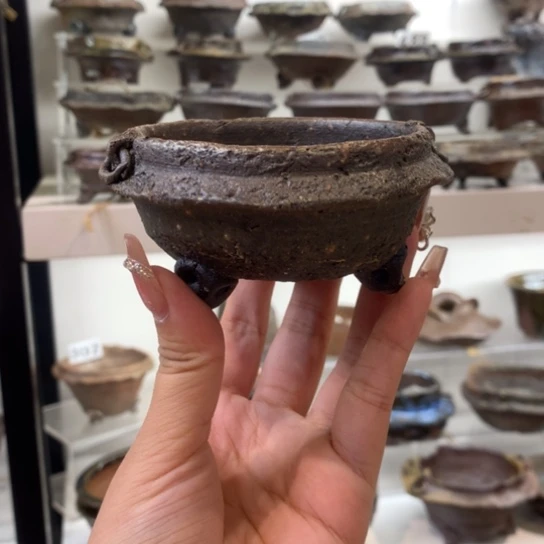 红陶20CM（含）-50CM（不含）卫*灵