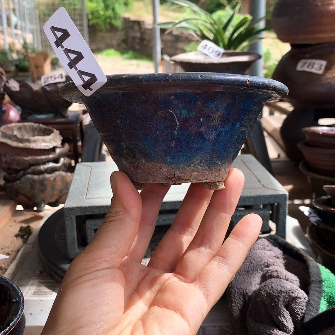 红陶20CM（含）-50CM（不含）10x5.8（444