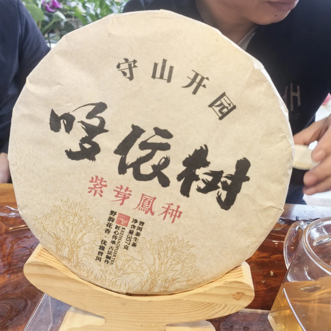 2019年哆依树紫芽凤种守山开园古树高杆普洱生茶饼357克F7号