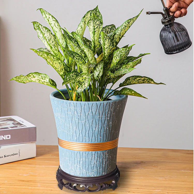 多肉花盆陶瓷花盆直播兰花花盆直播间现场直播卖货小花盆