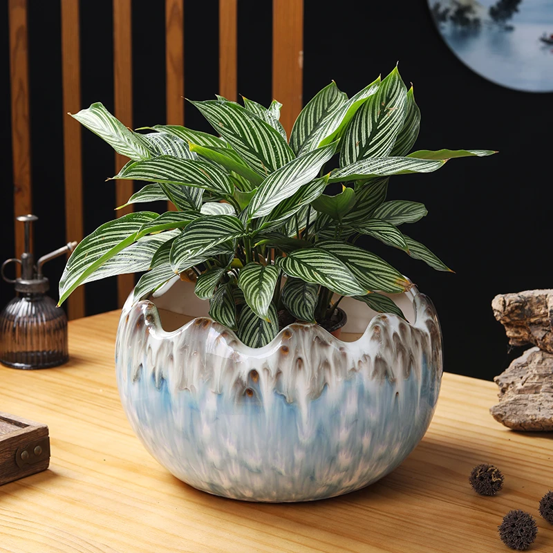 恐龙蛋陶瓷花盆网红花盆绿植君子兰绿萝多肉阳台客厅