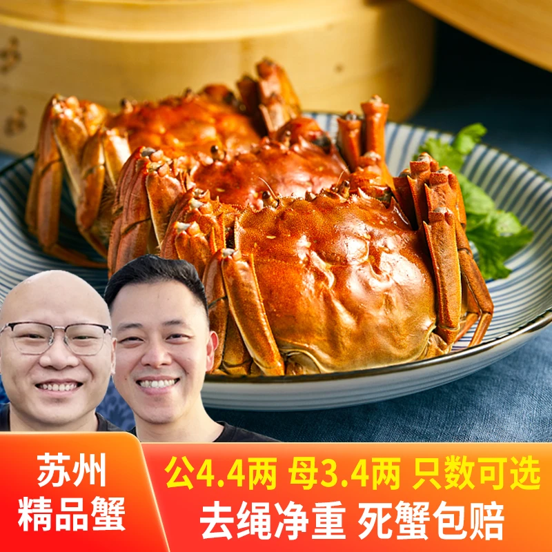 【活蟹】苏州精品大闸蟹公4.4两母3.4两6/8/10高标准养殖塘蟹冷链FY