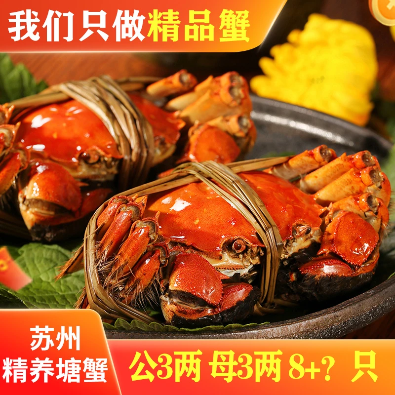 【活蟹】苏州精品大闸蟹公3.0两母3.0两共10只高标准养殖塘蟹冷链Z