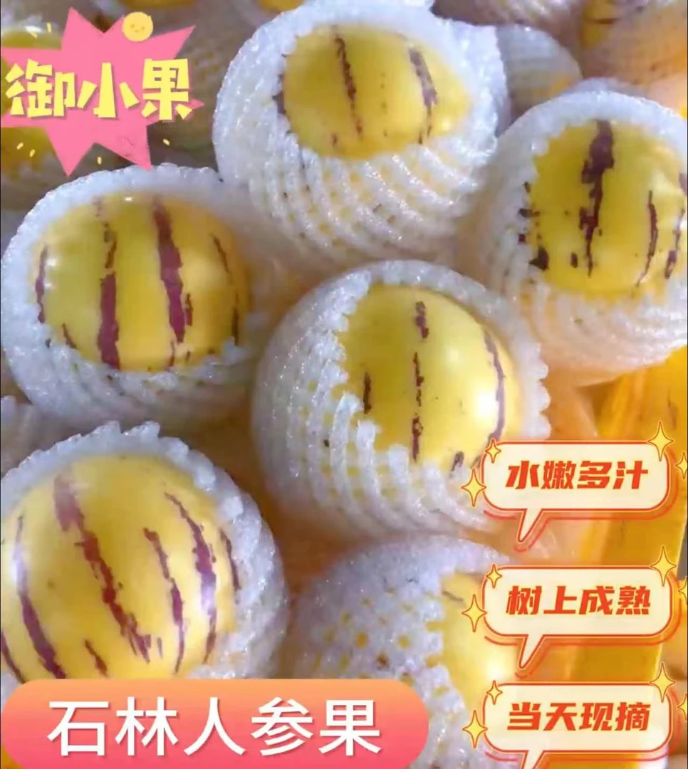 【清甜多汁】云南石林香甜新鲜水果采摘富硒树上成熟奶香清甜皮薄
