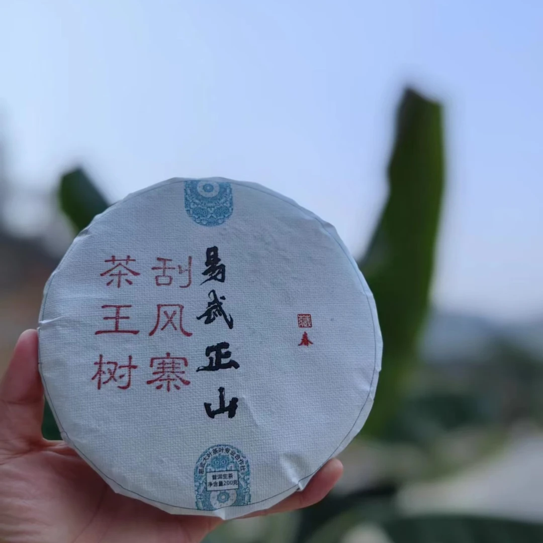 2023刮风寨 茶王树 回甘好 5饼/提