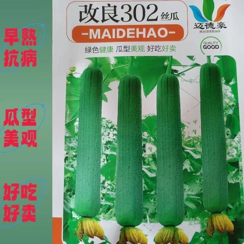 302肉丝瓜种子 丝瓜种籽丝瓜爬藤杂交早熟抗病丰产油亮肉厚基地用