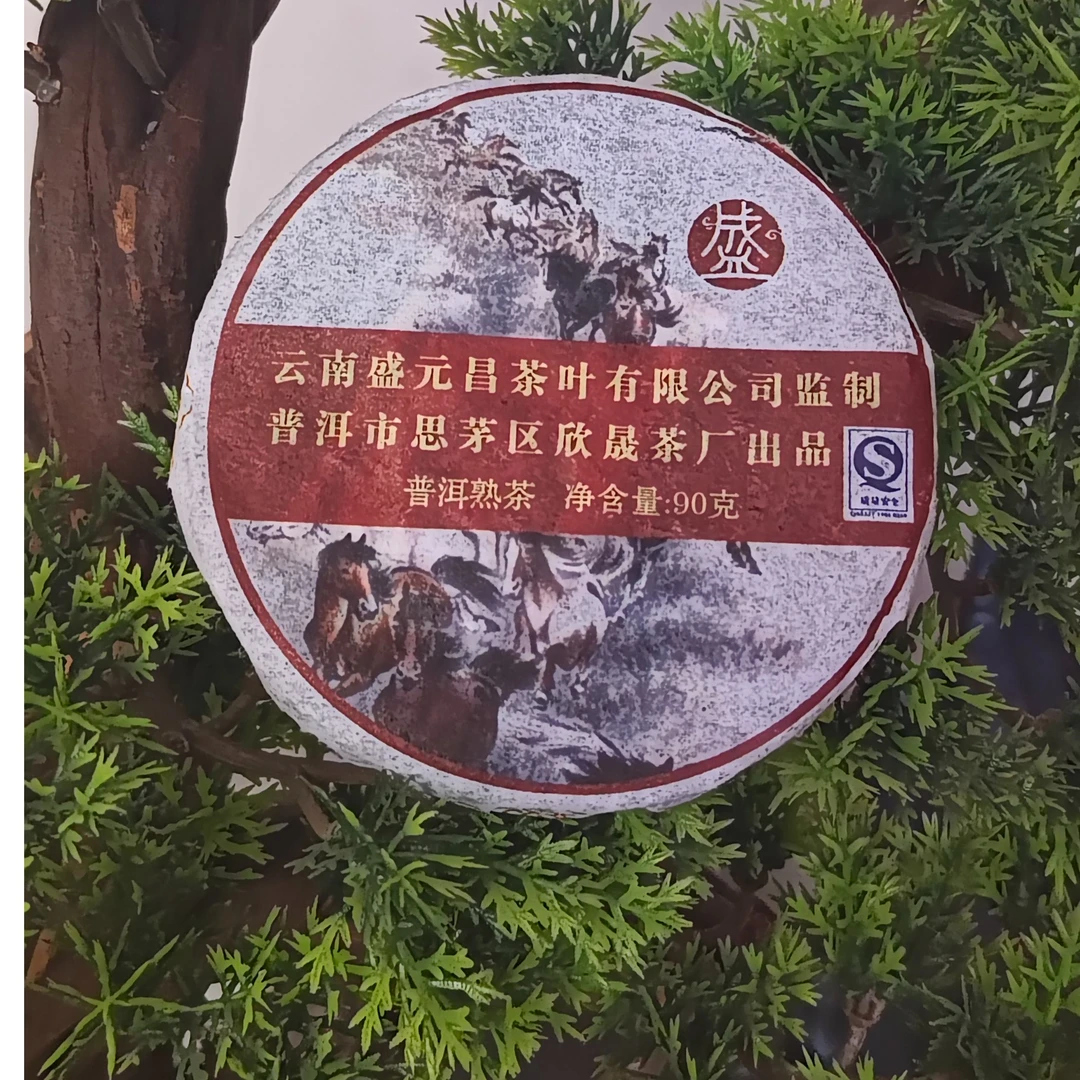 2007年盛元昌梅花饼90g1饼