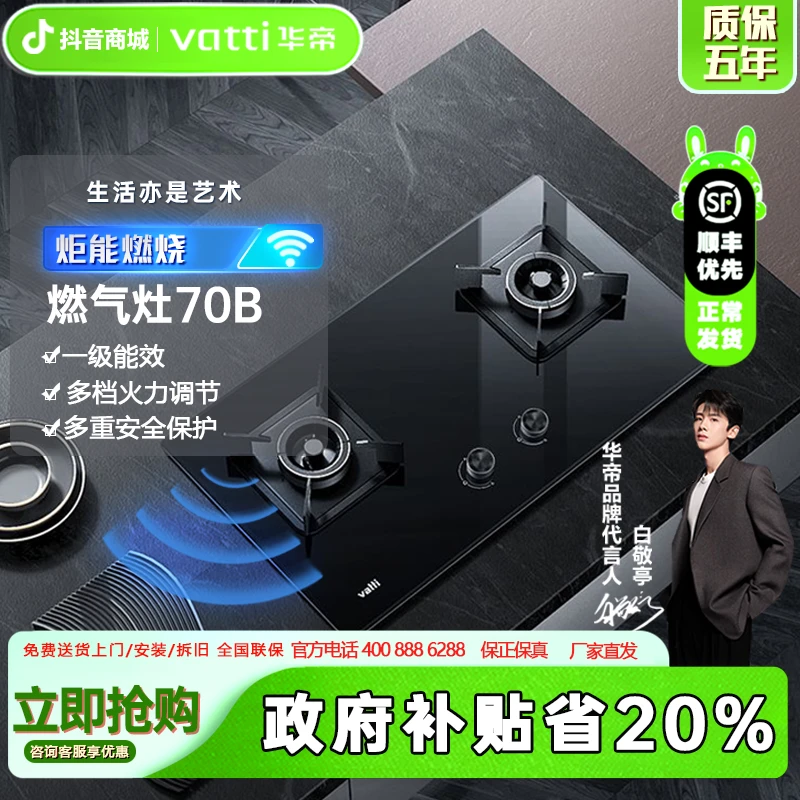Vatti/华帝【厨房】i10070B炬能猛火灶燃气灶家用5.0KW火力燃气灶