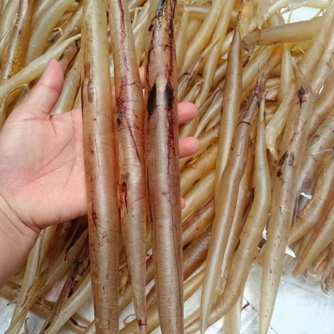 海南【黄鳗鱼胶】正品 日常滋补炖汤鱼鳔干货28-32头