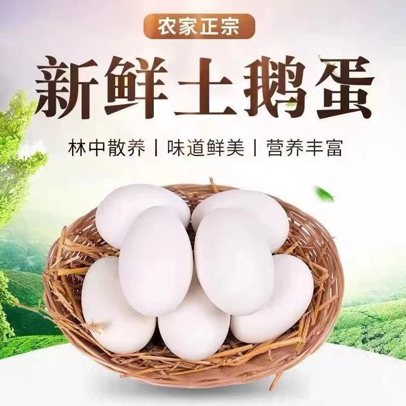 现捡现发新鲜散养生态农家鹅蛋营养食用破损包赔