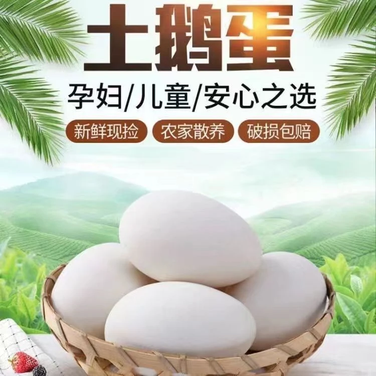 新鲜土鹅蛋正宗农家散养孕妇散养新杂粮喂养当日现捡生态营养孵化