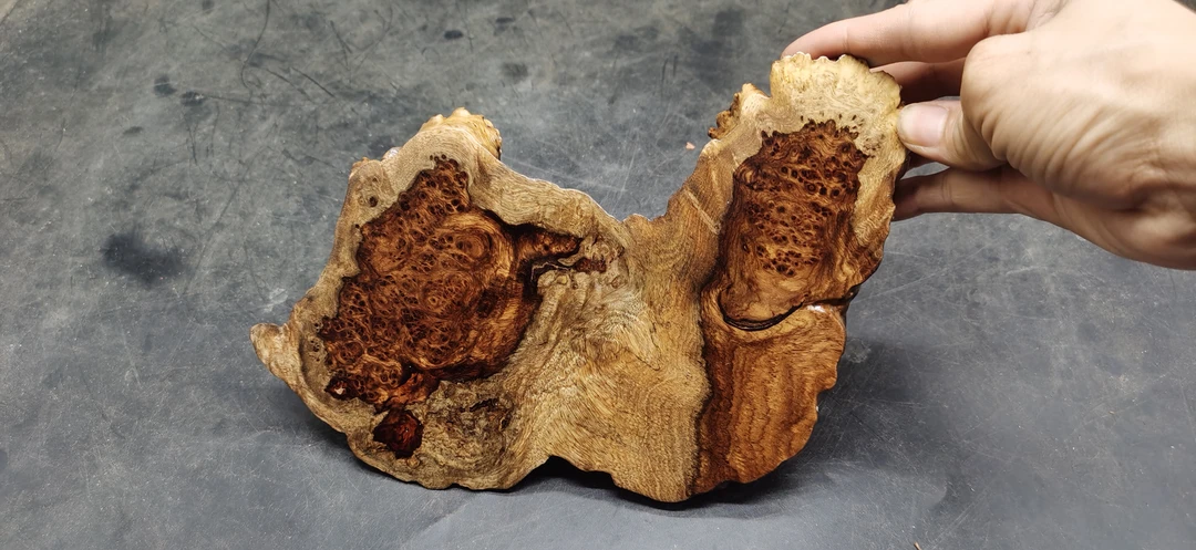 天然的缅甸花梨瘤干泡台