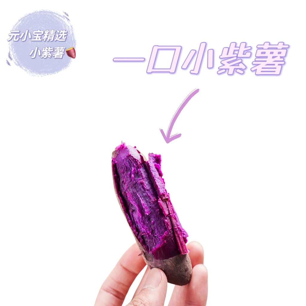 30枚/迷你小紫薯/湖北紫罗兰宝宝辅食紫薯地瓜红薯番薯农产品2斤
