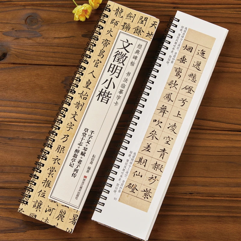 文徵明小楷 千字文琴赋草堂志醉翁亭记书法成人学生初学入门经典