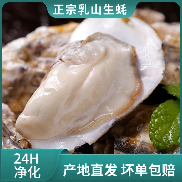 老申乳山牡蛎    粉丝多送一斤
