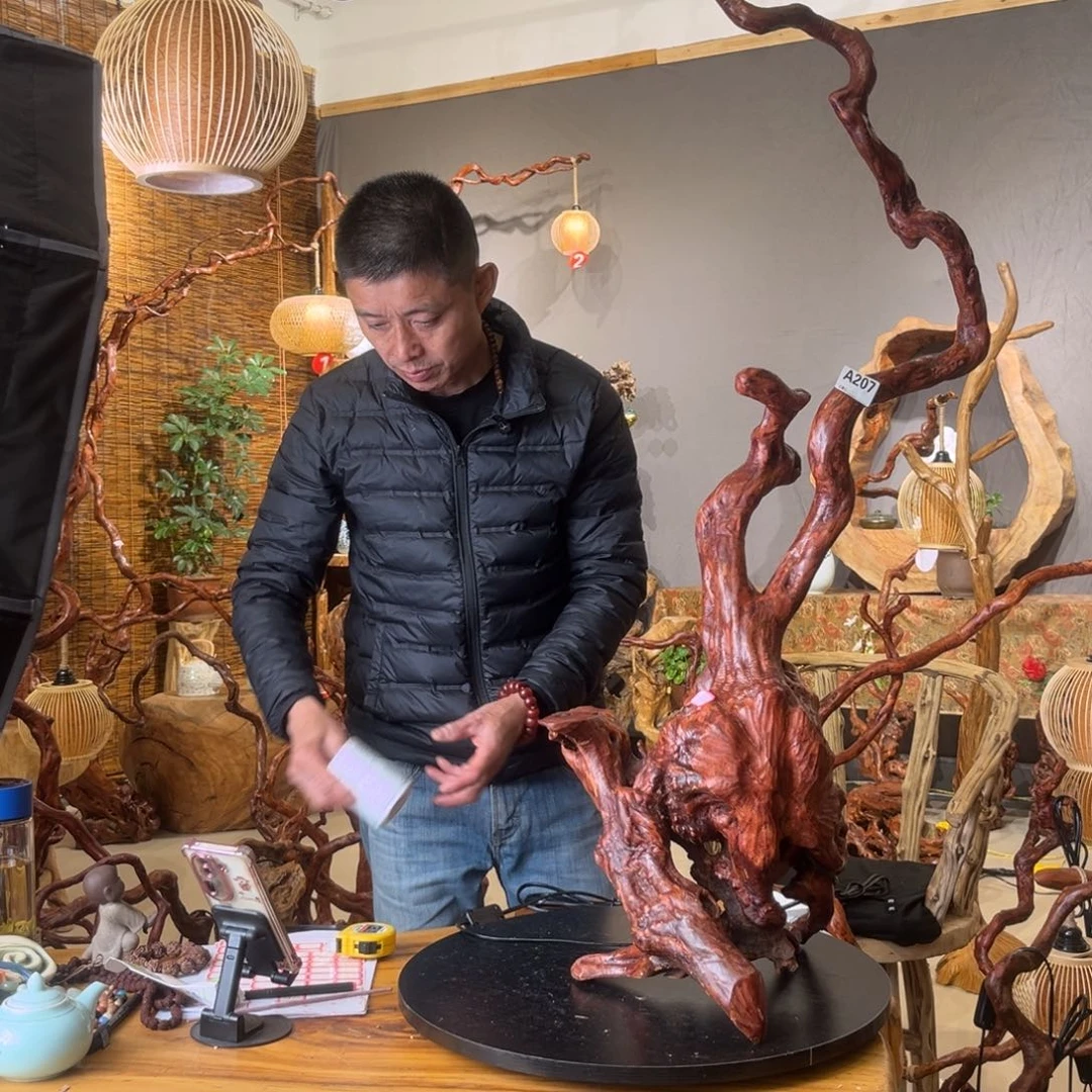 木静*重中之重207；d f f f