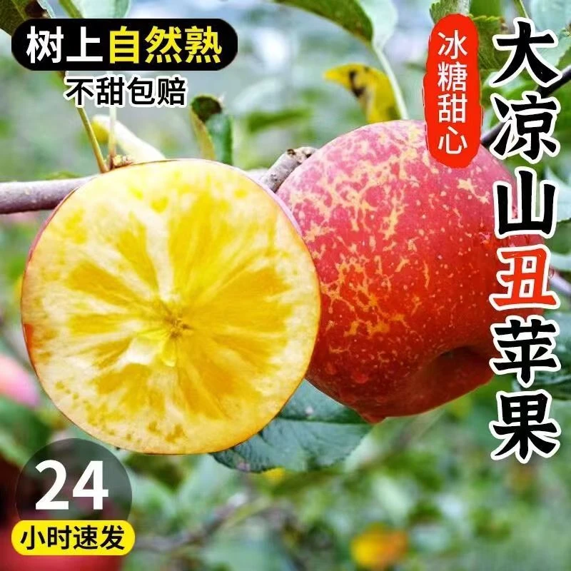 四川大凉山丑苹果水果脆甜新鲜水果盐源冰糖心丑苹果2/5/8斤包邮