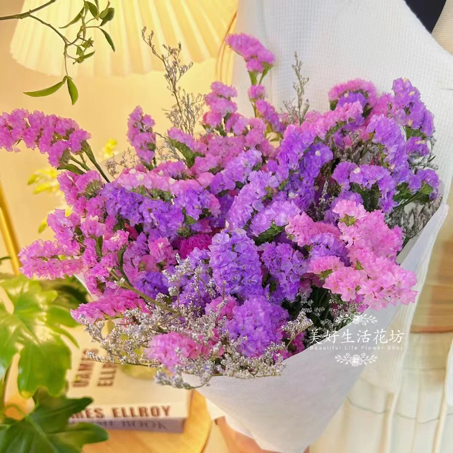 【买一扎送一扎】云南昆明直发勿忘我干花鲜花真插花卉礼物 800克