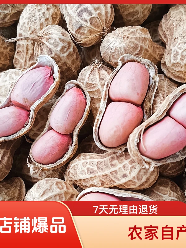 四川农家新鲜干花生