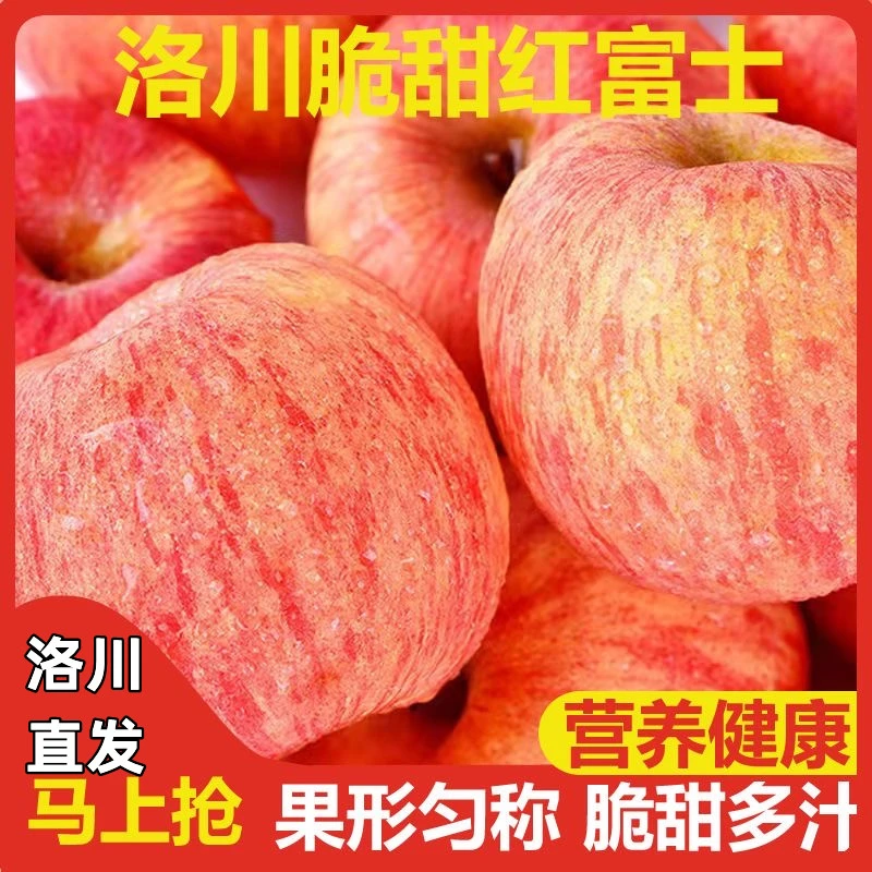 【正宗洛川苹果】2024年新果洛川红富士苹果脆甜多汁甜带箱9.5-10斤
