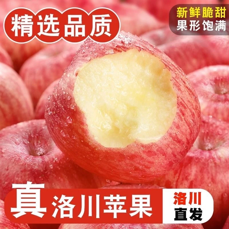 2024新果陕西洛川苹果红富士苹果产地直销正宗脆甜多汁水果不打蜡