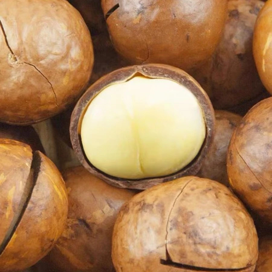 鑫宇【特大果2.5-2.7】23年新货大开口奶香夏威夷果