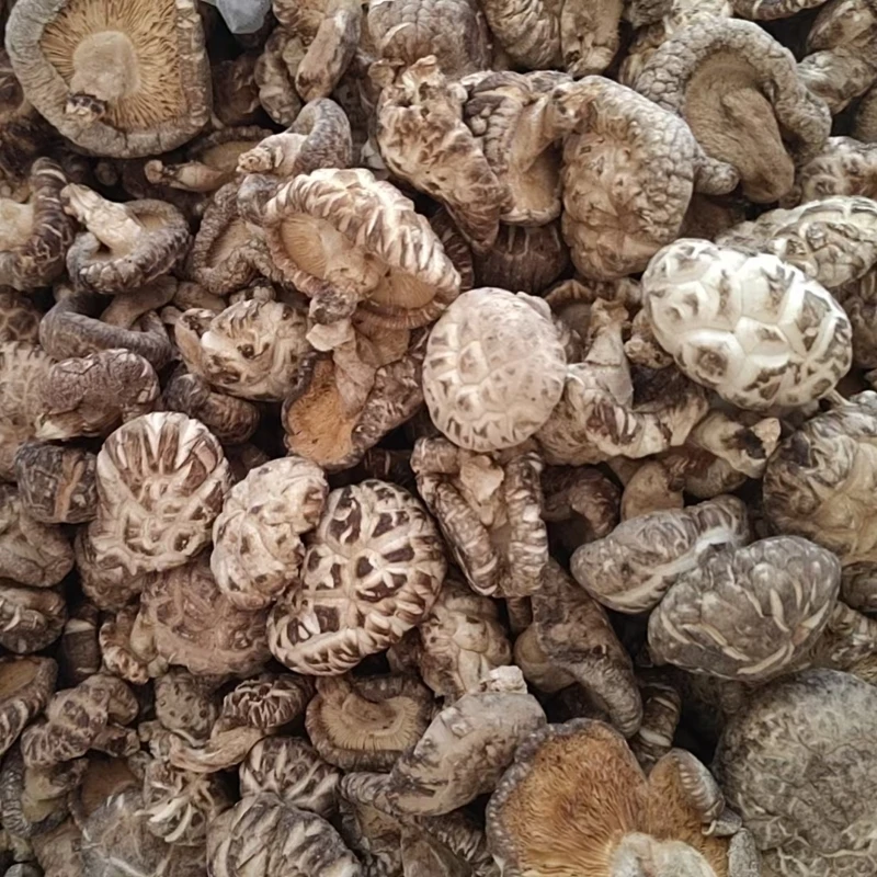 神农架正儿八经的林下椴木花菇香菇 椴木树种植 自然晒干肉质肥美
