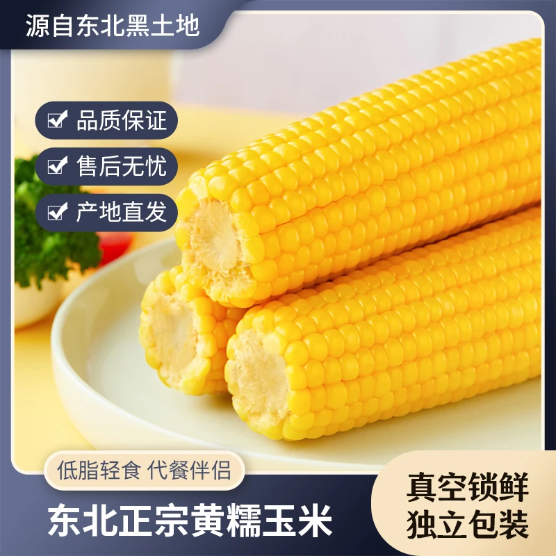 【黄糯玉米】东北黑土地 软糯新鲜糯玉米真空包装 整箱2200g以上