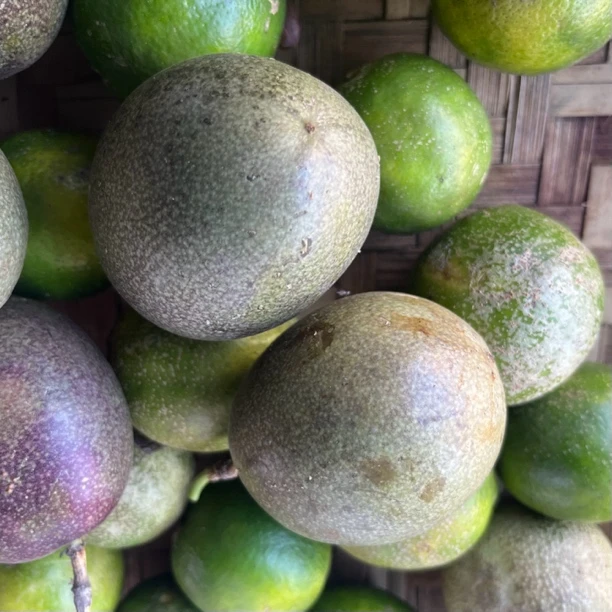 （个）万能拍赶集临时通用链接，云南高山种植百香果