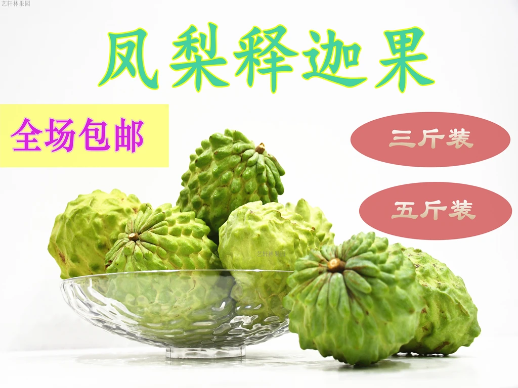 【包邮】福建软甜现摘优质凤梨释迦果5斤新鲜番荔枝佛头果大果包邮