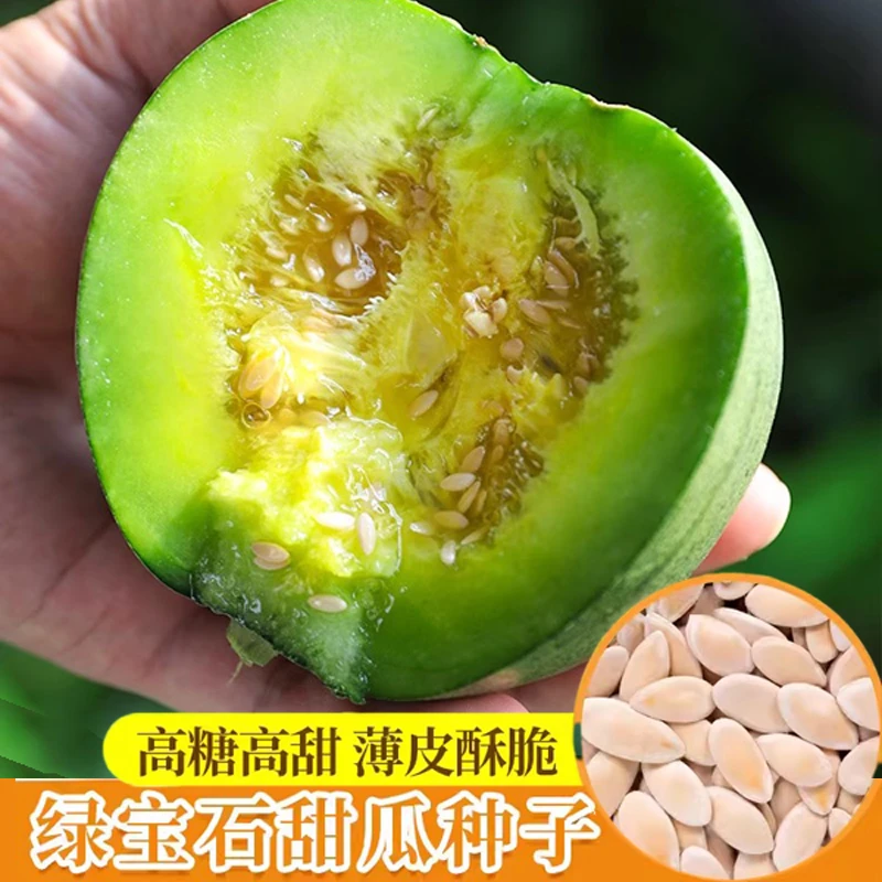 绿宝石甜瓜种子种籽孑