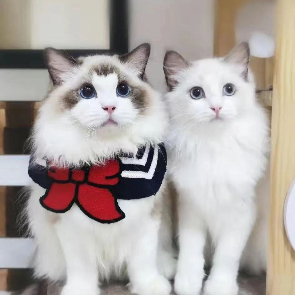 韩版ins手工宠物口水巾猫咪狗狗三角巾围巾宠物用品可爱优美