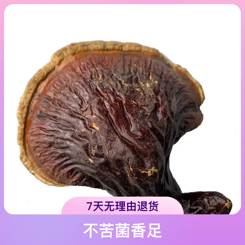 云南特产松杉白肉灵芝250g煲汤泡水正宗精选白肉灵芝菌不苦菌香足