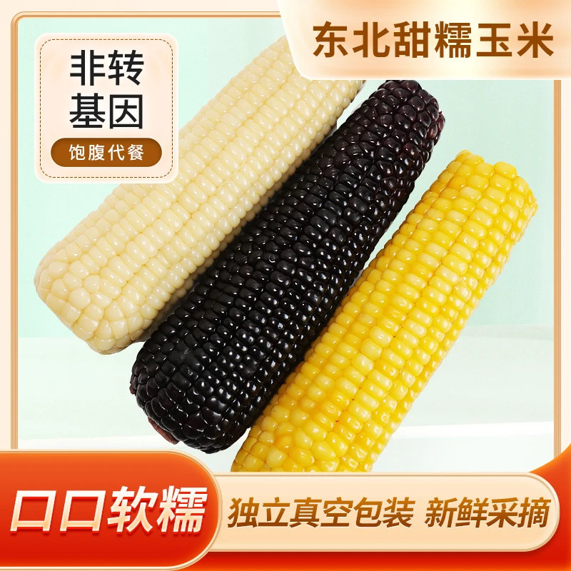 黄黑糯玉米2900g头茬鲜食糯玉米新鲜营养甜糯非转基因好吃