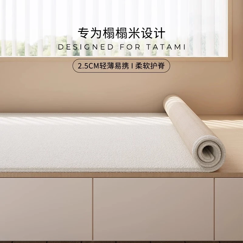 【2.5厚专属链接】飘窗垫窗台垫四季通用新款网红榻榻米棉坐垫定制