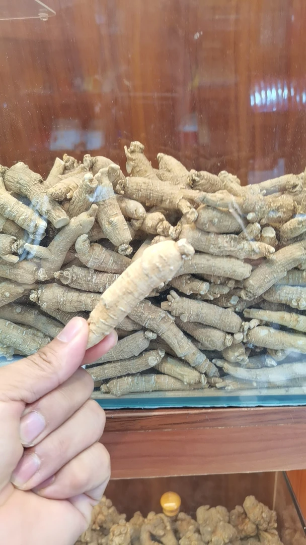 云南高原优质西洋参