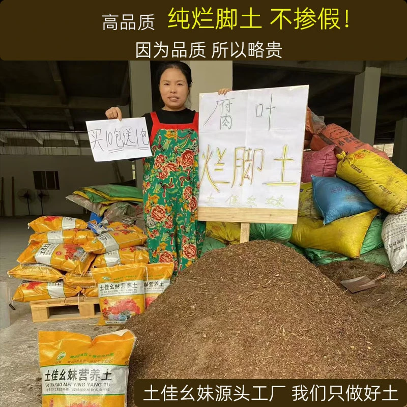 腐叶烂脚土透气沥水保湿发根快盆栽花卉绿植生桩老桩通用营养土