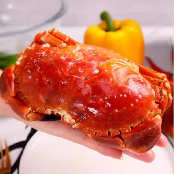 【顺丰】熟冻带黄面包蟹（600克/800克//只）（推荐切块辣炒）