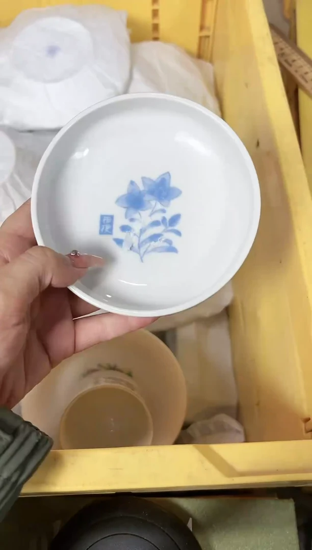 【闪购商品】瓷片273
