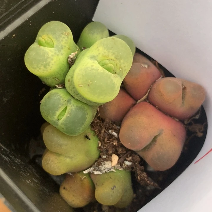 2538一组一组一组