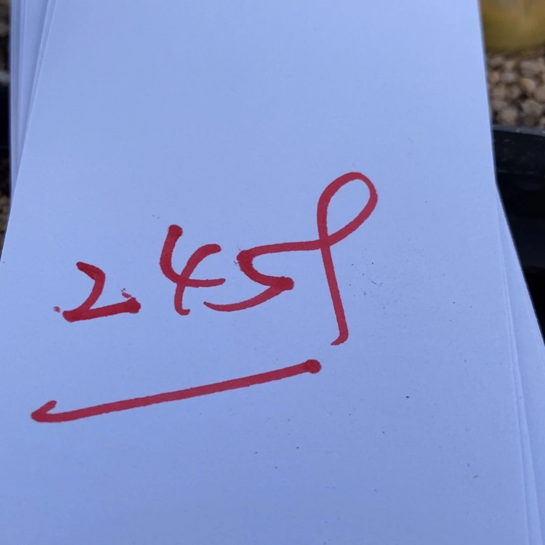 2459一个一个一个