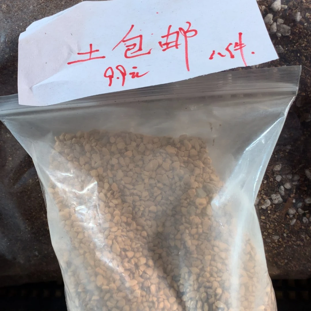 【闪购商品】肉锥土组合包邮