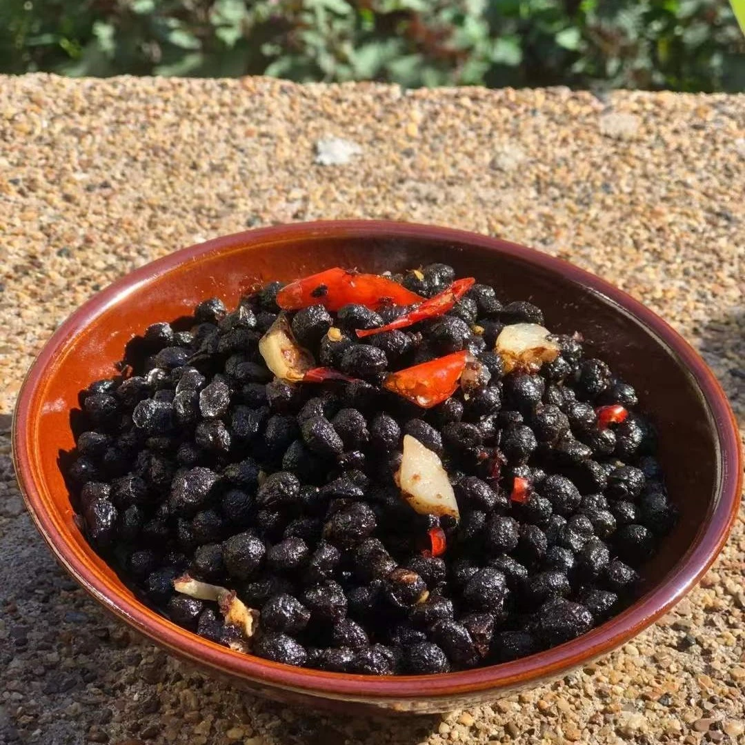 豆豉酱菜500克广西横县特产莫莉食品下饭菜开瓶即食