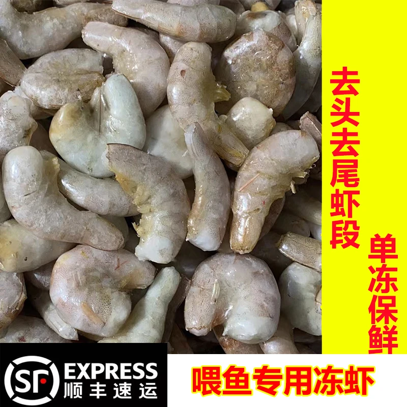 冷冻鱼食龙鱼魟鱼虎鱼饲料冷冻虾淡水虾白虾去头去尾虾段龙鱼饲料
