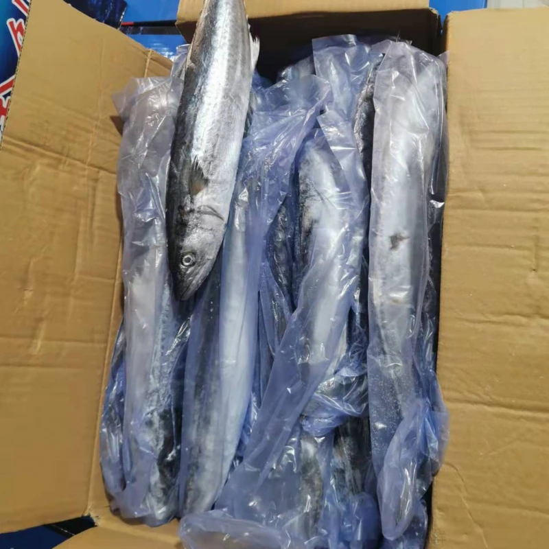 国庆燕鲅鲅鱼马鲛鱼特大号深海鱼野生鱼鲅鱼新鲜特大鲅鱼批发整箱