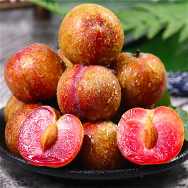 酸甜钱排三华李200g