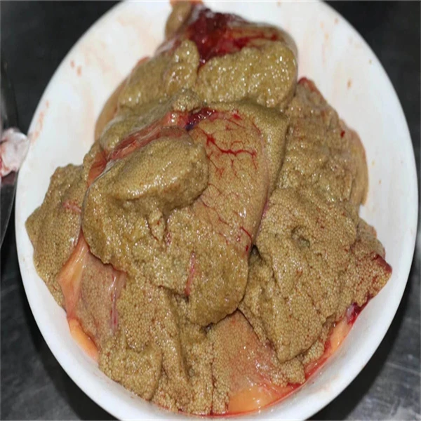 新鲜鱼籽 约250g （数量有限，鲜道鲜得）
