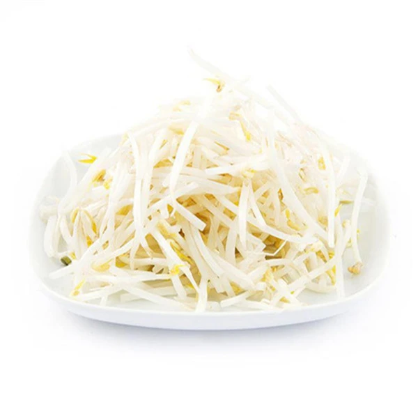 新鲜 绿豆芽250g